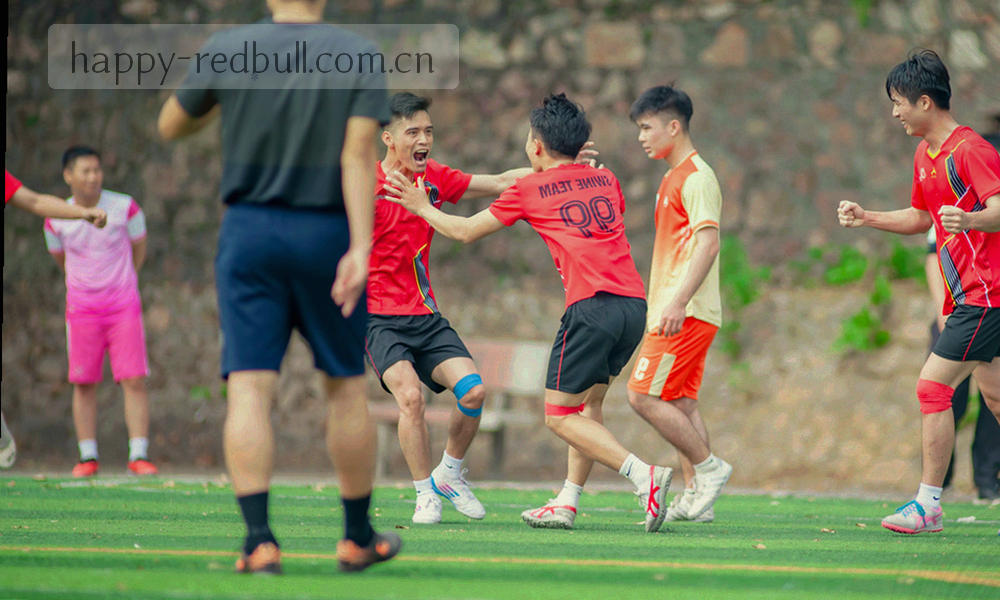两条并行的路径线条，一条直一条分段